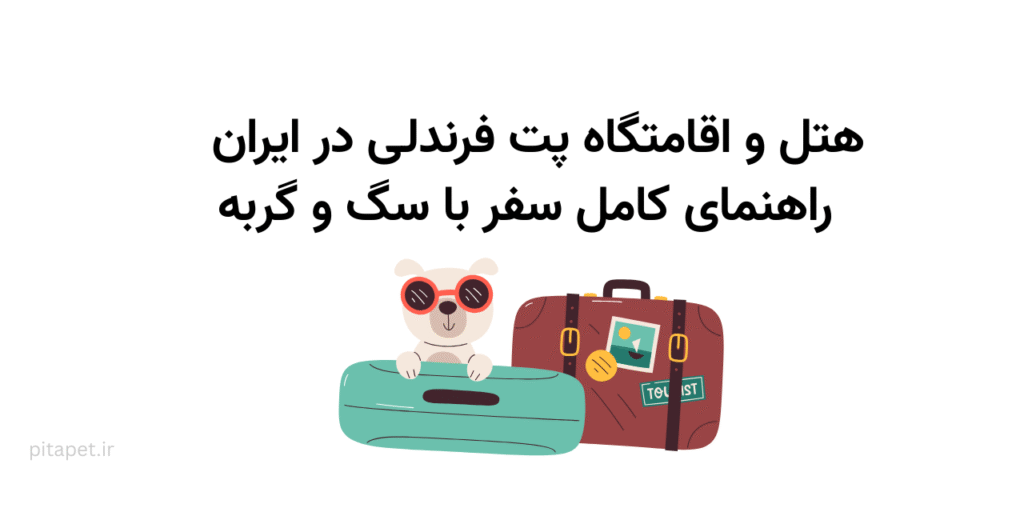 مکانهای پتفرندلی ایران (با اطلاعات تماس) 7 هتل و اقامتگاه پت فرندلی در ایران راهنمای کامل سفر با سگ و گربه