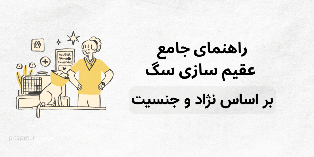 راهنمای جامع و خودمونی عقیم سازی سگ: همه چیزهایی که باید بدونید! 3 راهنمای جامع عقیم سازی سگ بر اساس نژاد و جنسیت